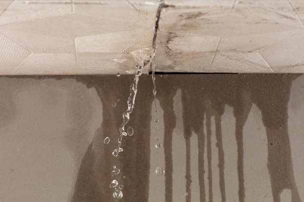 Professional Structural Drying technician working in Lake, MS